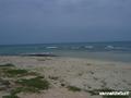 kite surfing photo