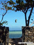 kite surfing photo