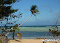 kite surfing photo