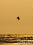 kite surfing photo