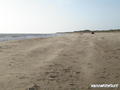 kite surfing photo