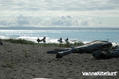 kite surfing photo