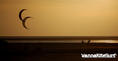 kite surfing photo