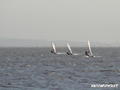 kite surfing photo